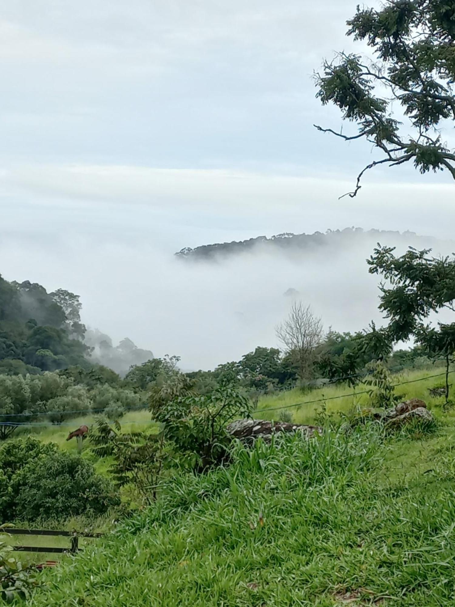 Chale Araucaria- Vale Das Pedras Mg Sapucaí-Mirim Exterior photo